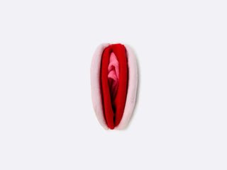Eat My Socks Viva la Vulva Socks - Taryn x Philip Boutique
