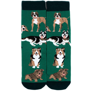 Lavley - I'd Rather Be With My Dog Socks (Green)