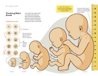 Topix Media Lab - HOW TO DAD:  An Illustrated Instruction Manual