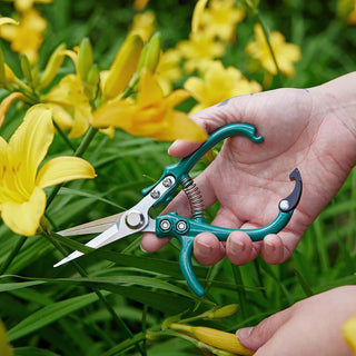 Modern Sprout Gardening Shears - Ocean