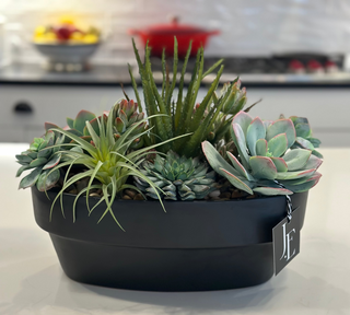 Faux Succulents in Black Oval Pot