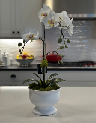 Faux Single Orchid in White Pedestal Bowl