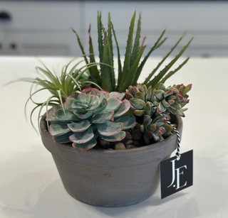 Faux Mixed Succulents in Taupe Pot
