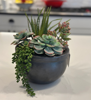 Faux Mixed Succulents in Charcoal Pot