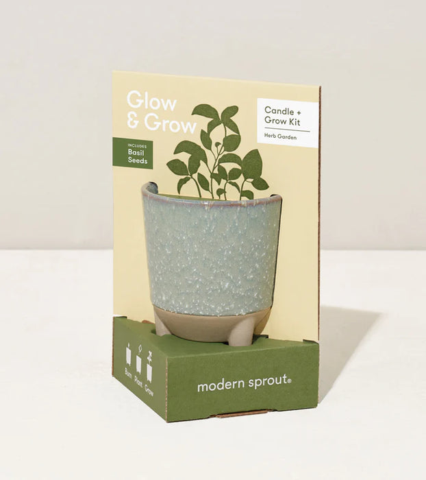 Modern Sprout Glow & Grow Kits - Taryn x Philip Boutique