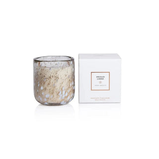 Speckled Lumina 10.5oz Boxed Candle - Tonka Absolute