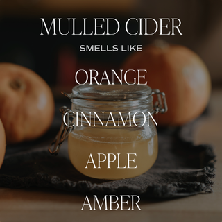 Mulled Cider 11 oz Soy Candle - Fall Home Decor & Gifts - Taryn x Philip Boutique