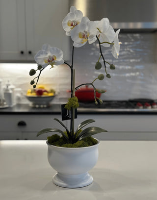 Faux Single Orchid in White Pedestal Bowl