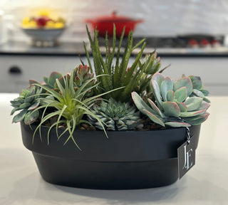 Faux Succulents in Black Oval Pot