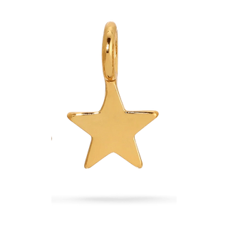 gold star charm