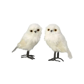 Regency International 10" White Owl