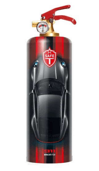 911 Classic Fire Extinguisher - Taryn x Philip Boutique