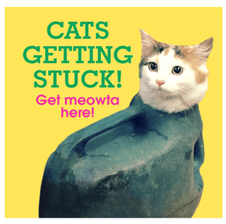 Cats Getting Stuck!  Book Hardcover