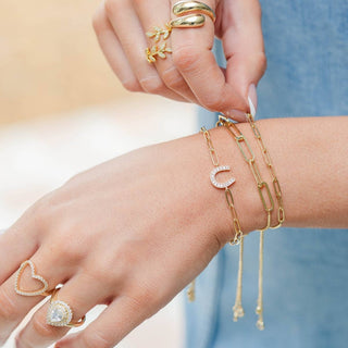Splendid Iris - Horseshoe Pulley Bracelet