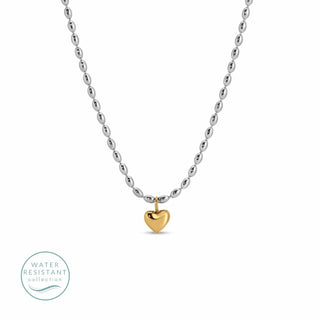 Splendid Iris Necklace - Petite Heart Necklace, Silver/Gold
