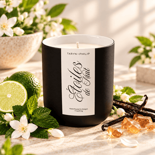 Étoiles de Nuit :: Stars of the Night 11oz Candle