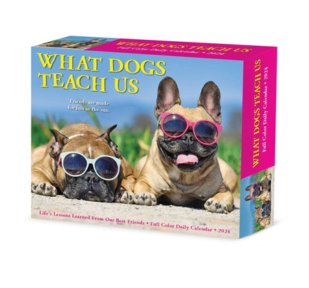 What Dogs Teach Us 2024 Box Calendar - Taryn x Philip Boutique
