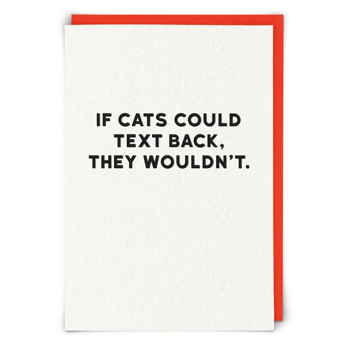 Cats Greetings Card - Taryn x Philip Boutique
