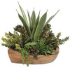 Salar Succulents - Taryn x Philip Boutique