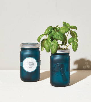 Modern Sprout Garden Jars - Herbs - Taryn x Philip Boutique