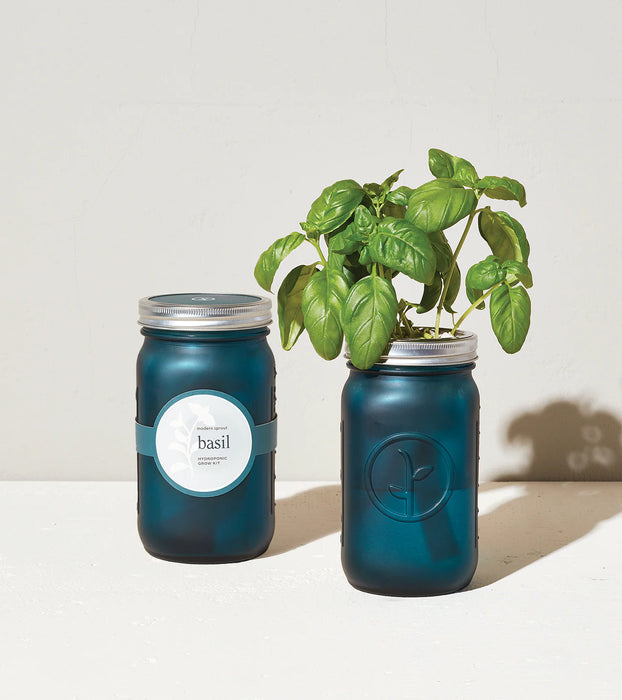 Modern Sprout Garden Jars - Herbs