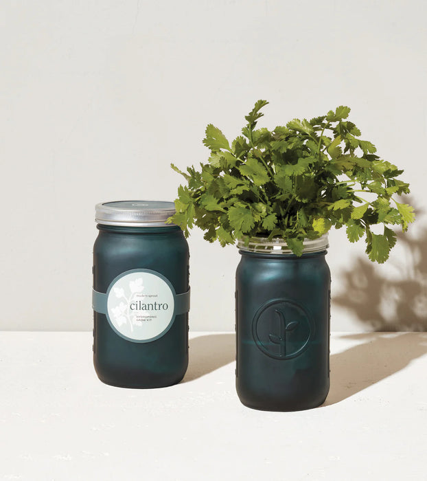 Modern Sprout Garden Jars - Herbs