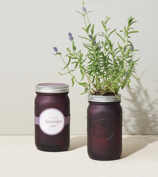 Modern Sprout Garden Jars - Herbs - Taryn x Philip Boutique