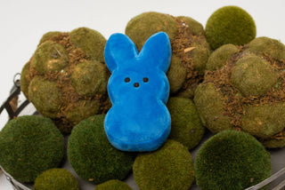 Easter Peeps - Taryn x Philip Boutique