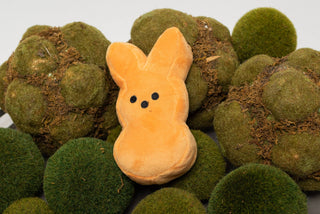 Easter Peeps - Taryn x Philip Boutique
