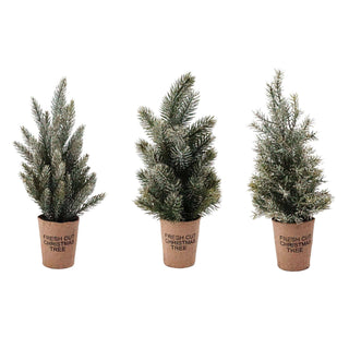 3 Asst Lg Frosted Tree w/Paper Cup - Taryn x Philip Boutique