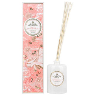 Saijo Persimmon Reed Diffuser - Taryn x Philip Boutique